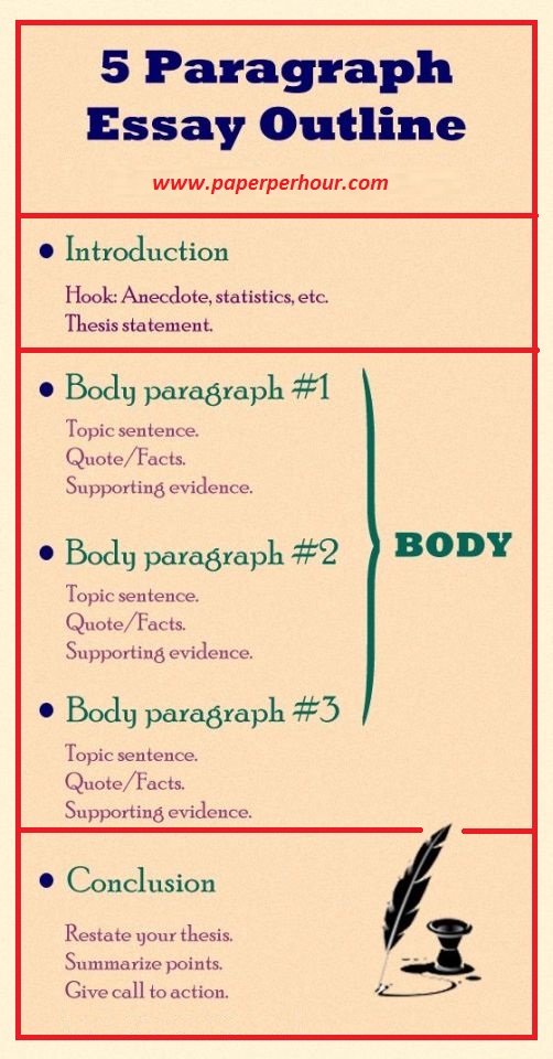 different parts of essay writing